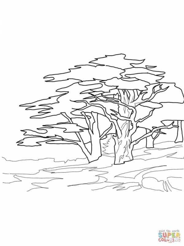 Снежное дерево раскраска