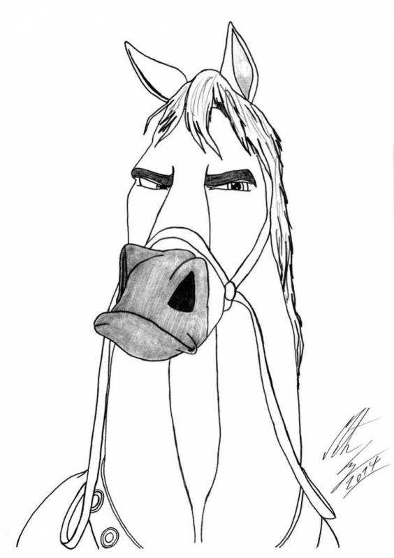 Конь Юлий и большие скачки звезда Востока и её парень