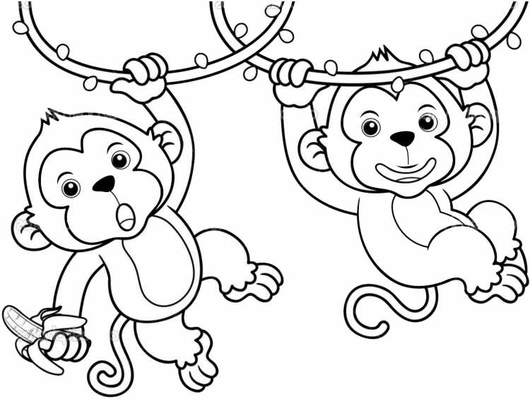 Осторожно обезьянки раскраска