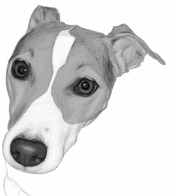 Значок «Джек-Рассел-терьер»