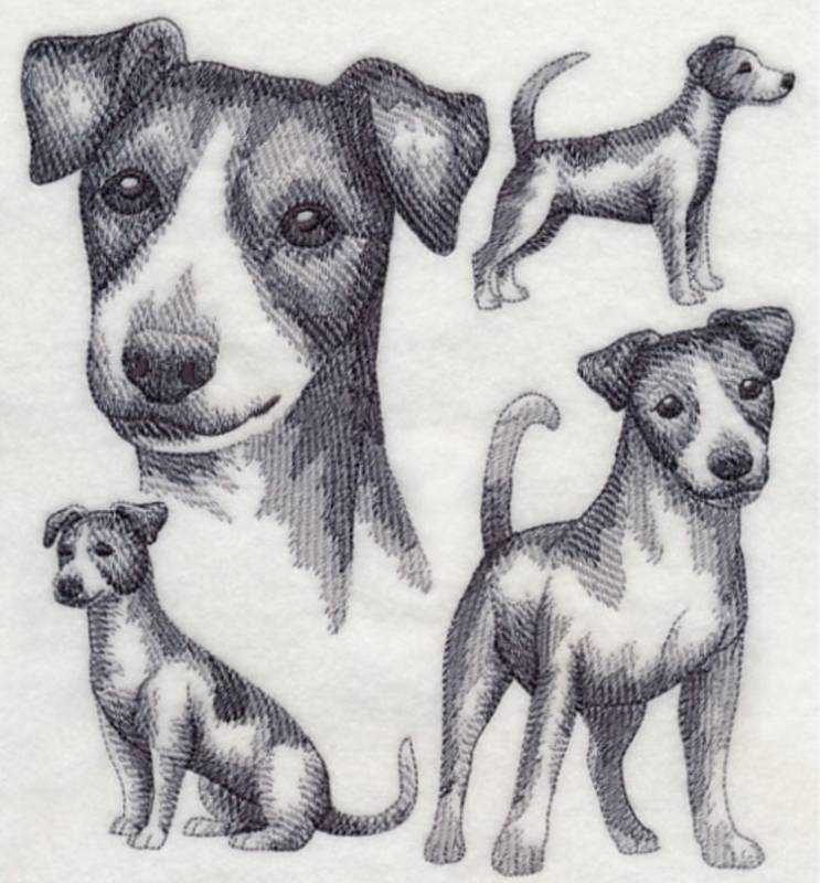 Раскраска-антистресс. Собака