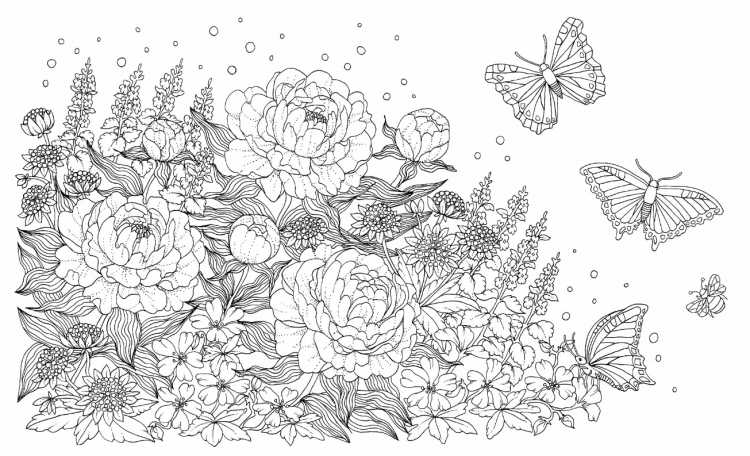 Раскраски для взрослых