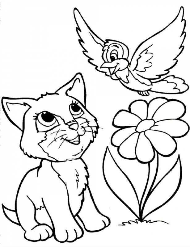 Кошки. Раскраска