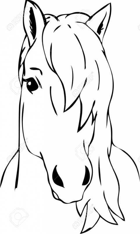 Морда лошади трафарет