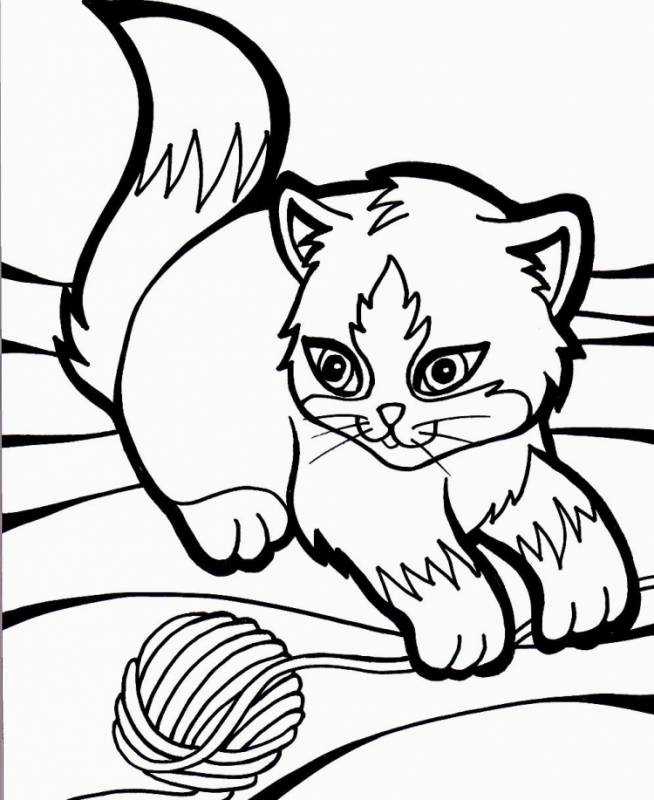 Манчкин как рисовать кот