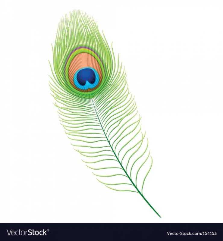 Перо павлина 3д ручкой