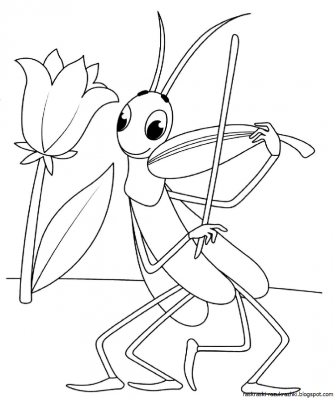 Дюймовочка и принц раскраска