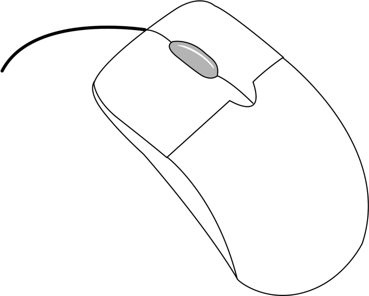 Компьютерная мышь сверху и сбоку