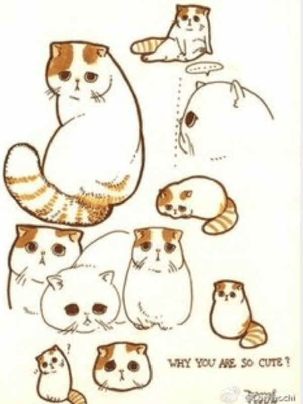 Мультяшные Шотландские коты