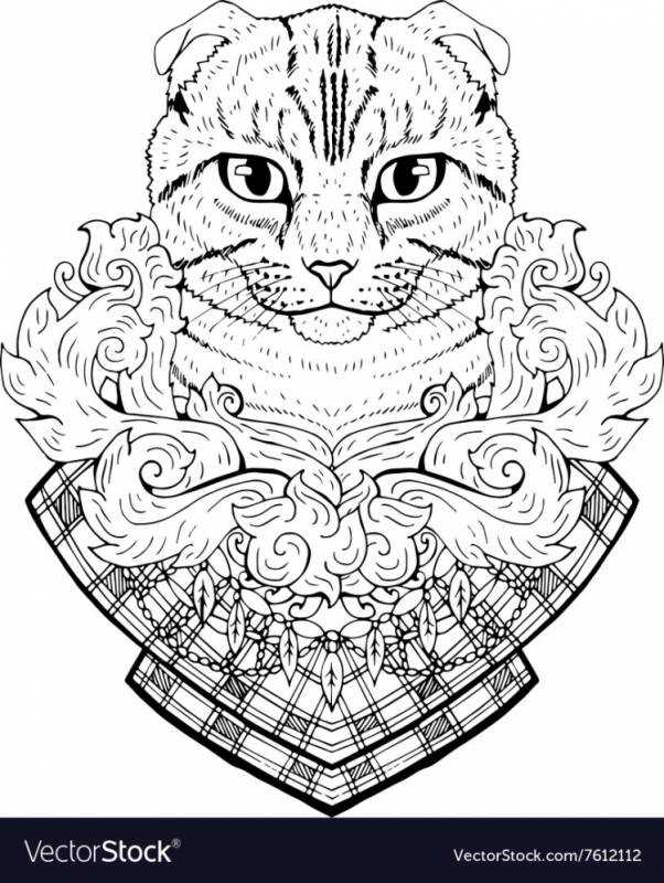 Вислоухая кошка вектор