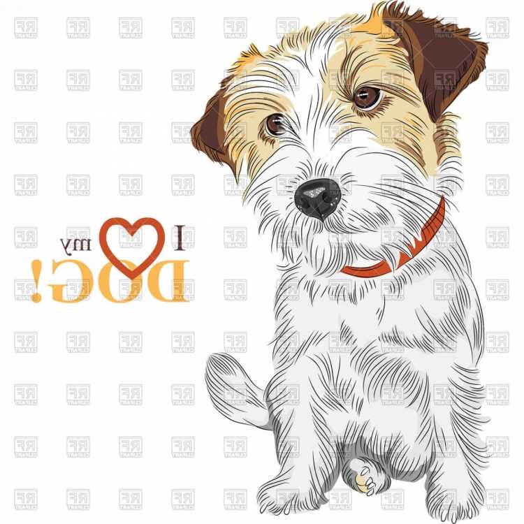 Собака нарисованная одной линией