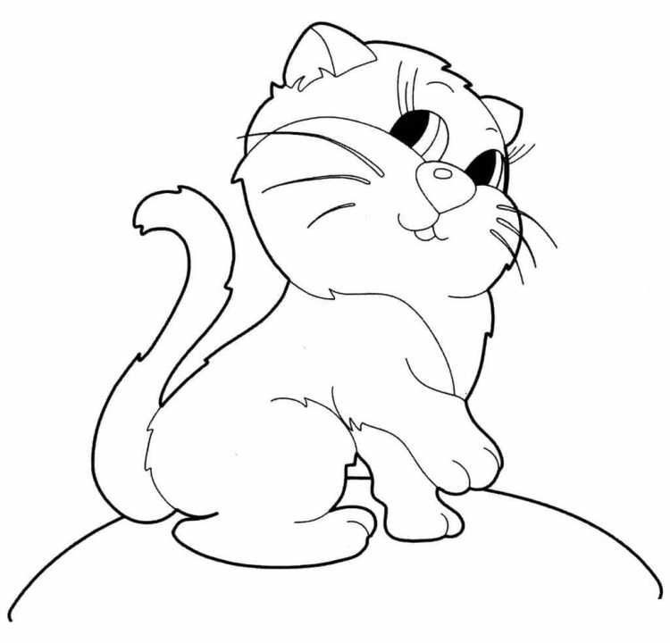 Тату кошка вислоухая