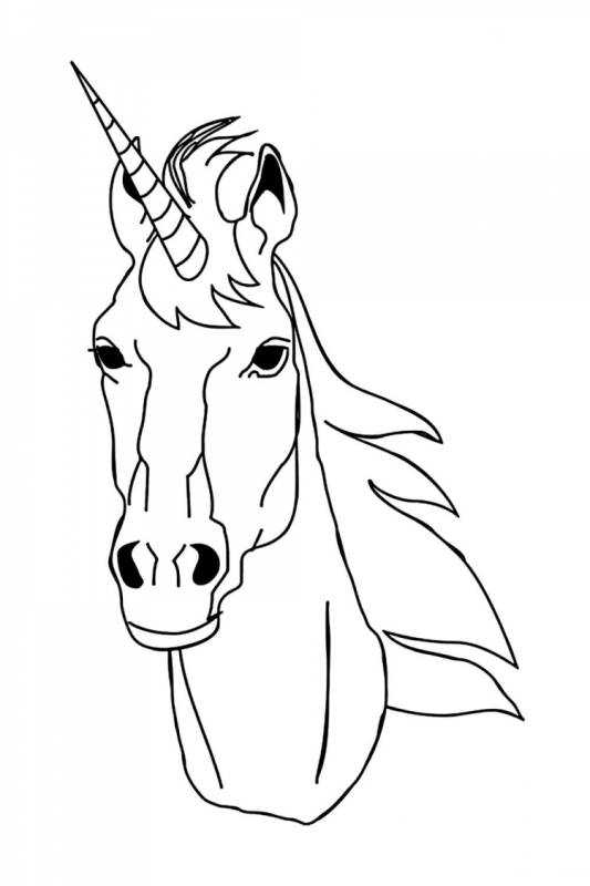 Голова лошади