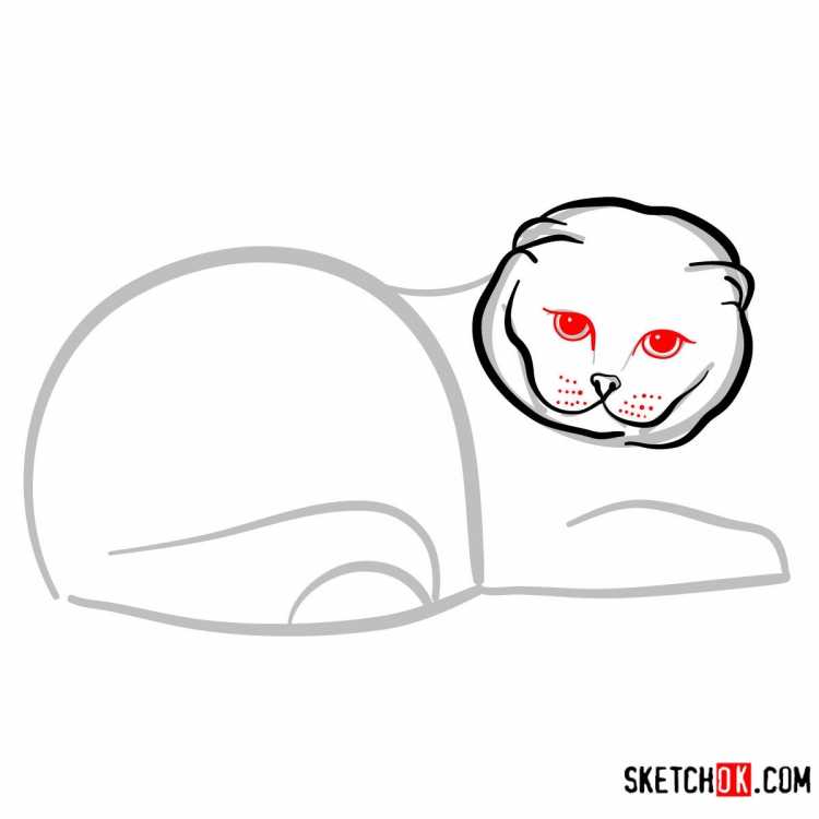 Раскраска вислоухий кот