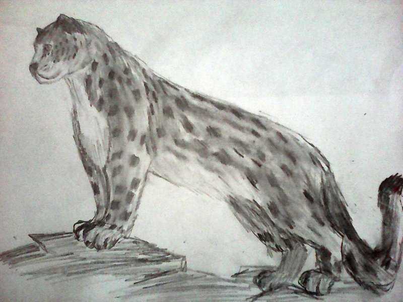 Рисунки карандашом