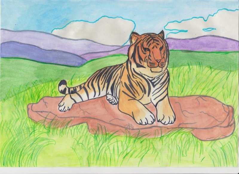 Рисунок на тему животные красной книги