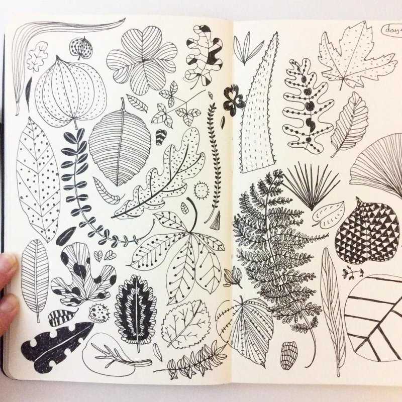 Красивые растения для скетчбука