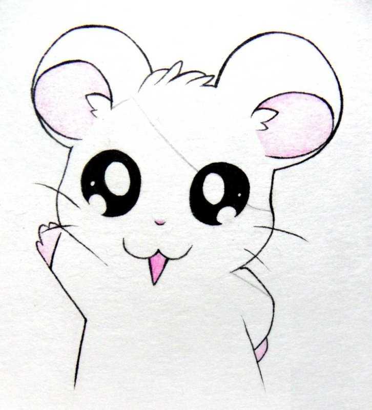 Легкие рисунки для срисовки