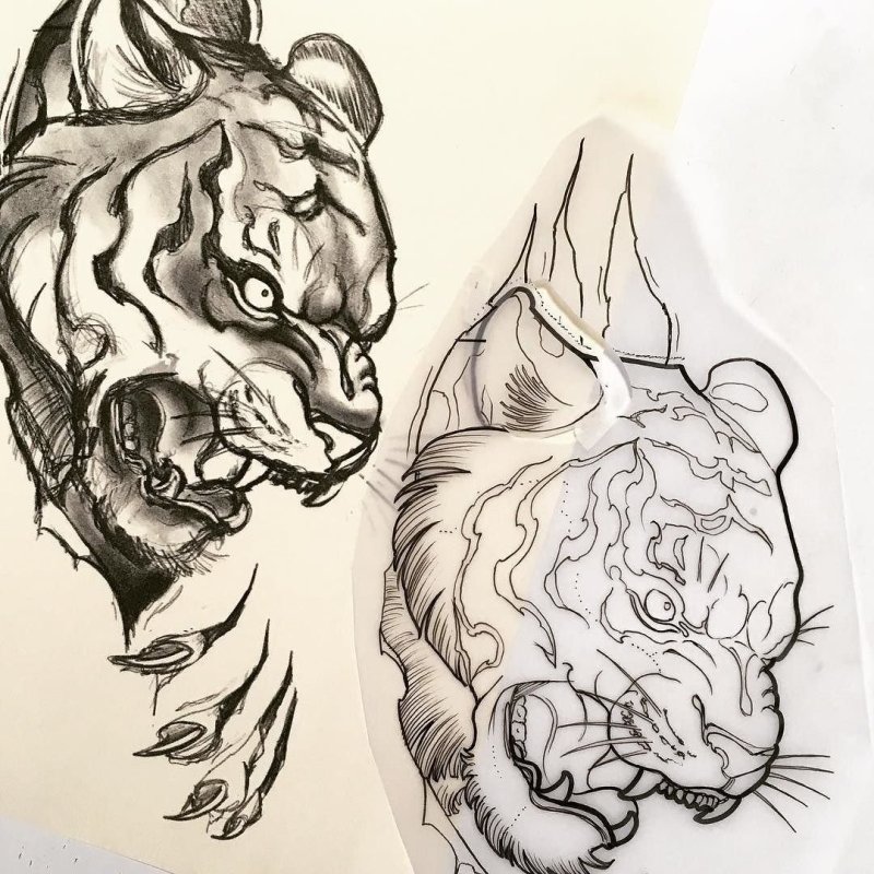 Таттоо тигр Daniel Silva