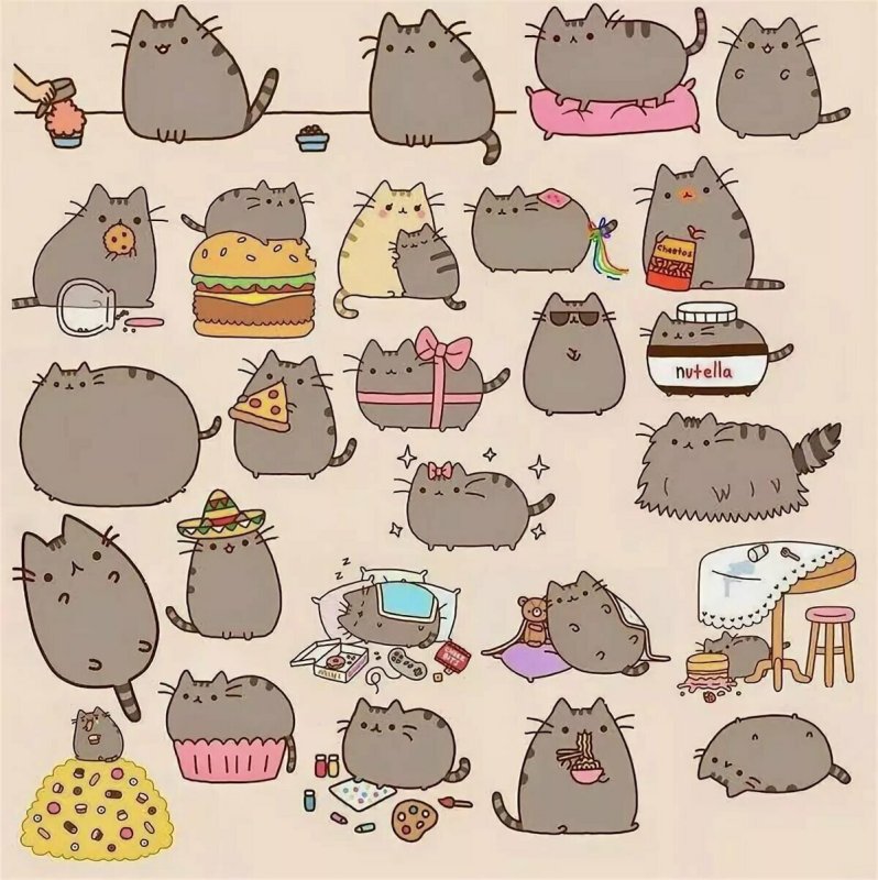 Пушин зе Кэт