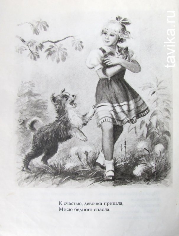 Барбос и Жулька рисунок