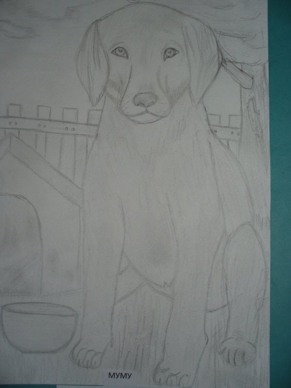 Каштанка рисунок карандашом для срисовки