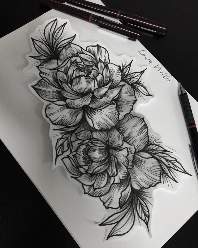 Розы пионы эскиз