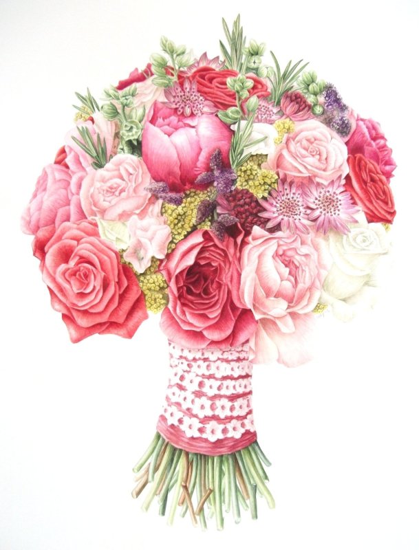 Роза раскраска