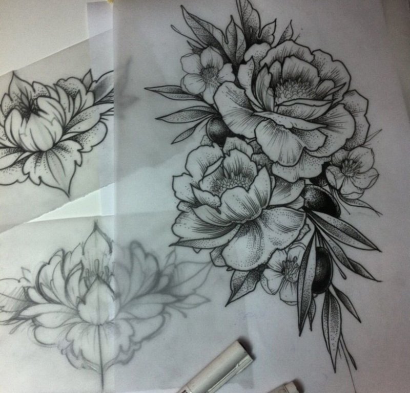 Пионы эскиз