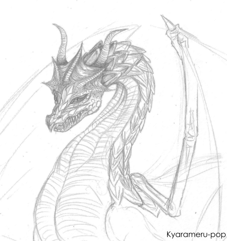 Дракон рисунок карандашом