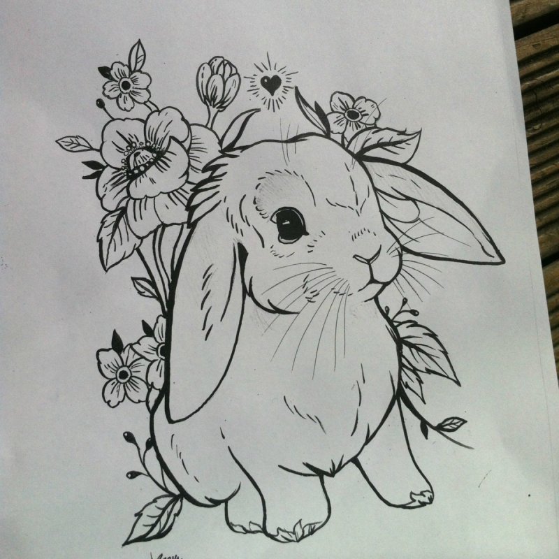 Референсы кроликов