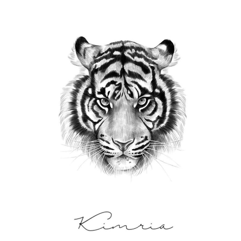 Глаза тигра тату эскиз