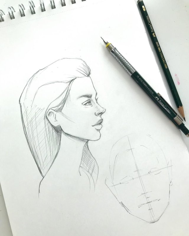 Рисунки котов карандашом для срисовки для начинающих