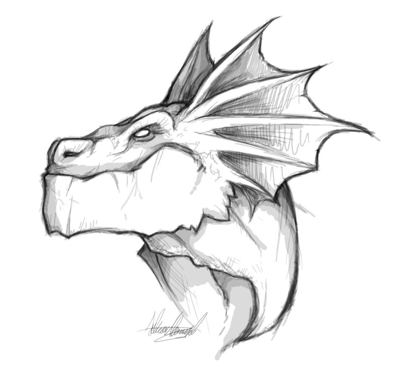 Магические существа для срисовки