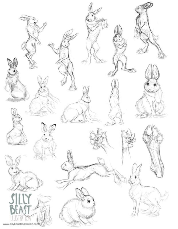 Референсы кроликов для рисования