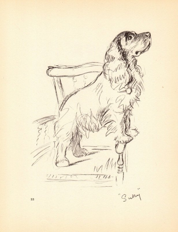 Кусака рисунок