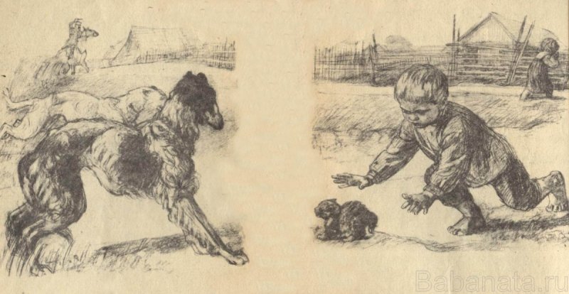 Эскиз собаки