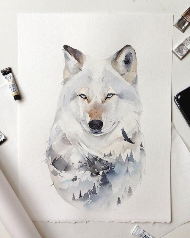 Волк для срисовки