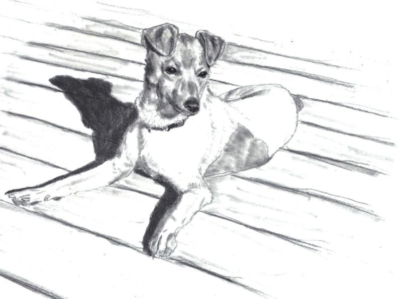 Иллюстрация памятник Кусаке