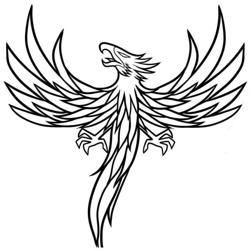 Тату птица Феникс трайбл