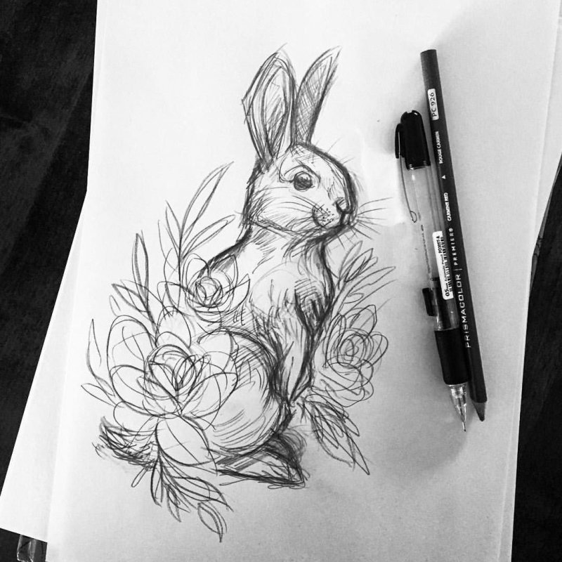 Зарисовки животных