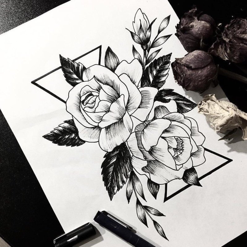 Бутон пиона эскиз