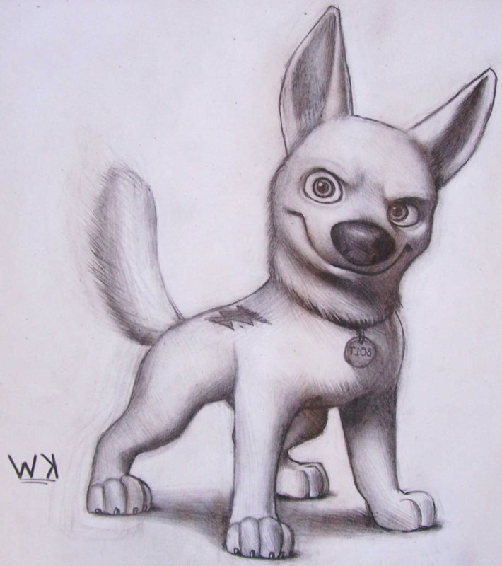 Животные с большими глазами рисунки для срисовки