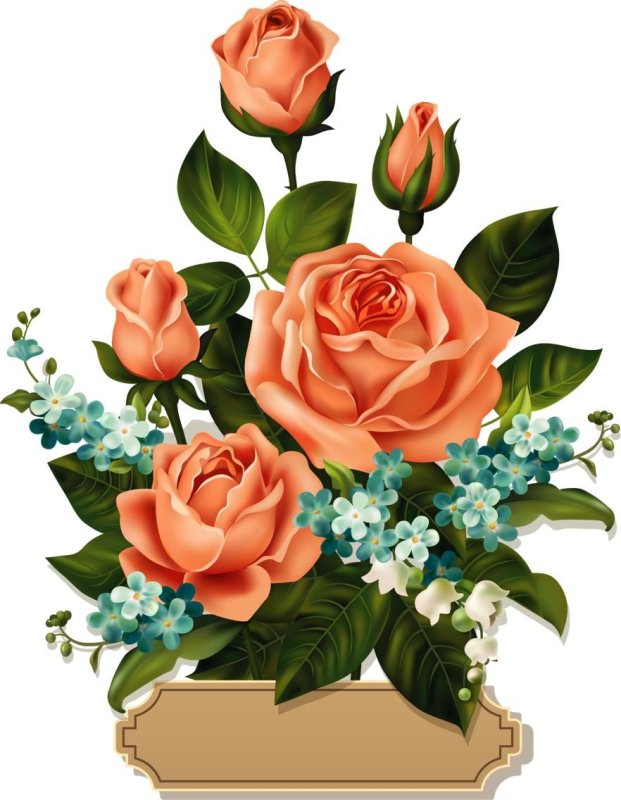 Цветы. Раскраска