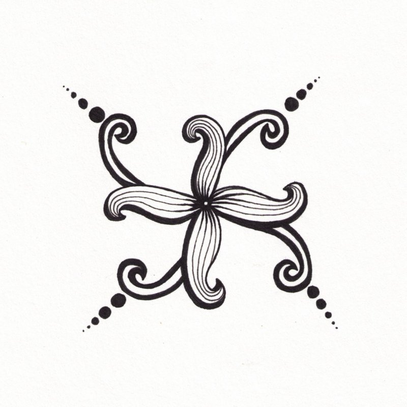 Рисунки цветов для срисовки