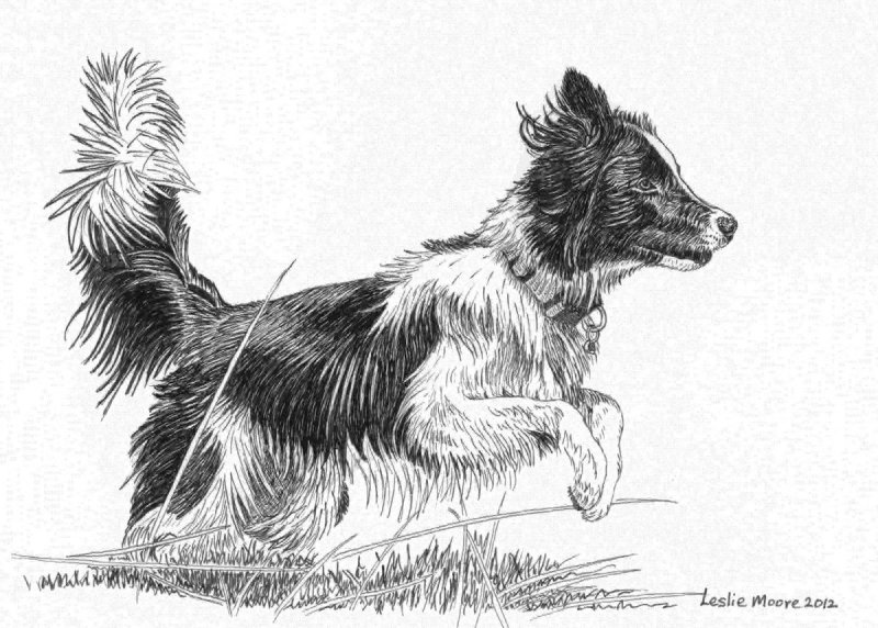 Раскраска к произведению кусака