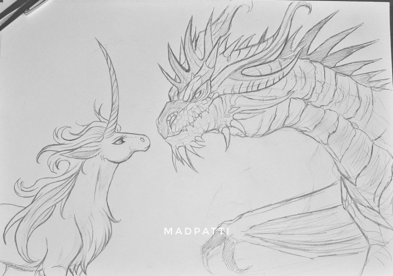 Alvia Alcedo черно белые драконы