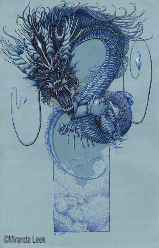 Дракон цветной