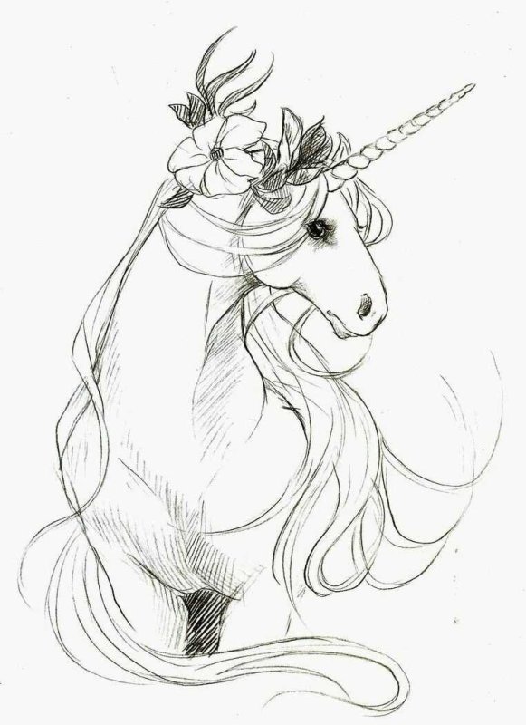 Единорог карандашом