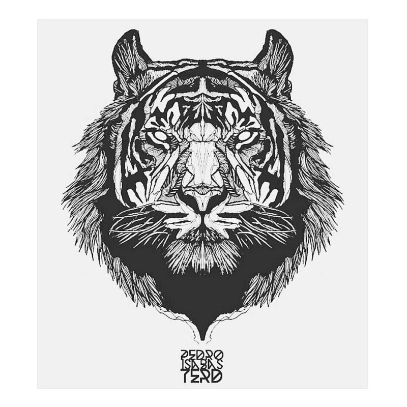 Тигр в ярости эскиз